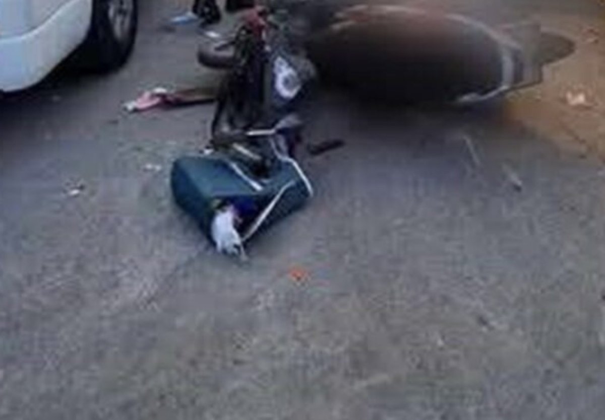 IMG_1640.jpeg