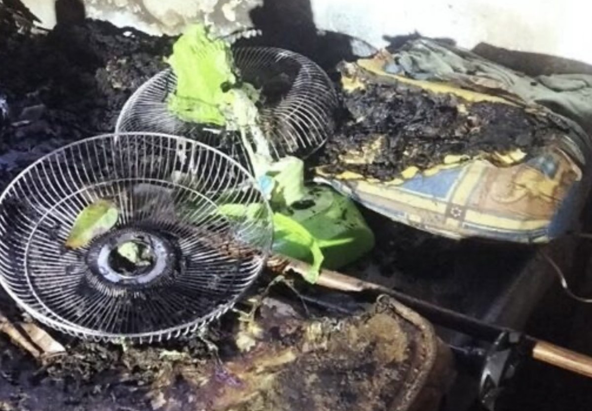 IMG_2070.jpeg