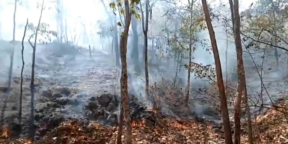 fires1.jpg