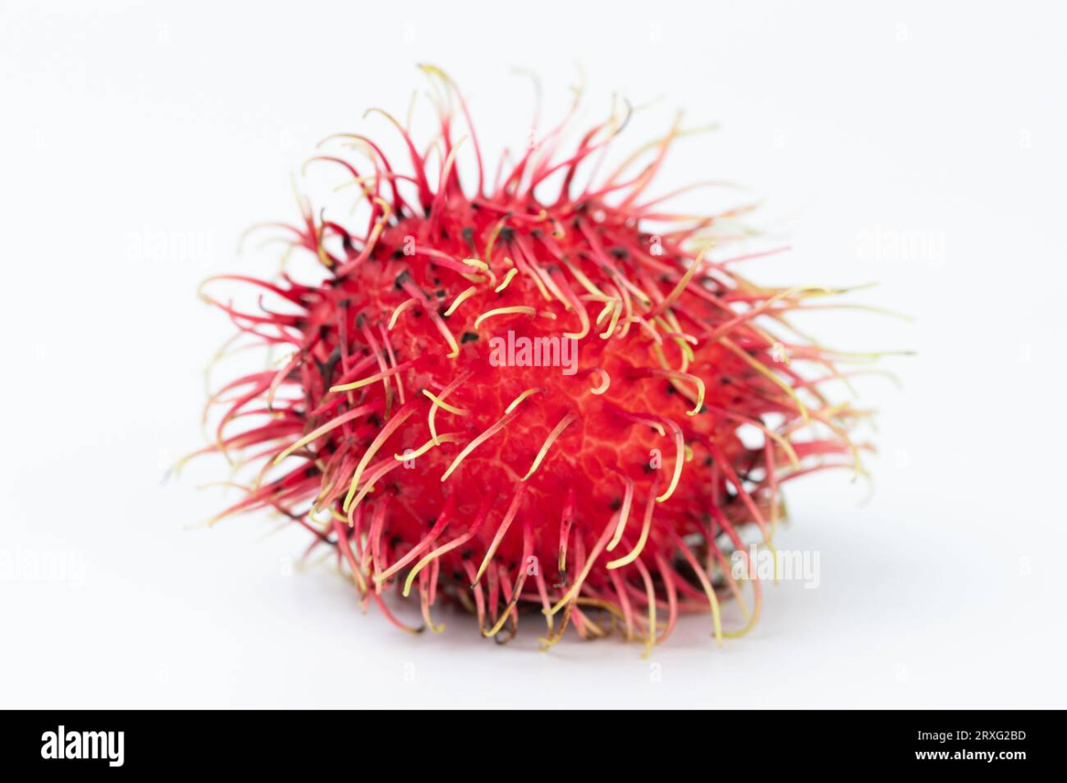 image.thumb.png.7069c3ad69f5c4c91bd3d54559dccdc4.png