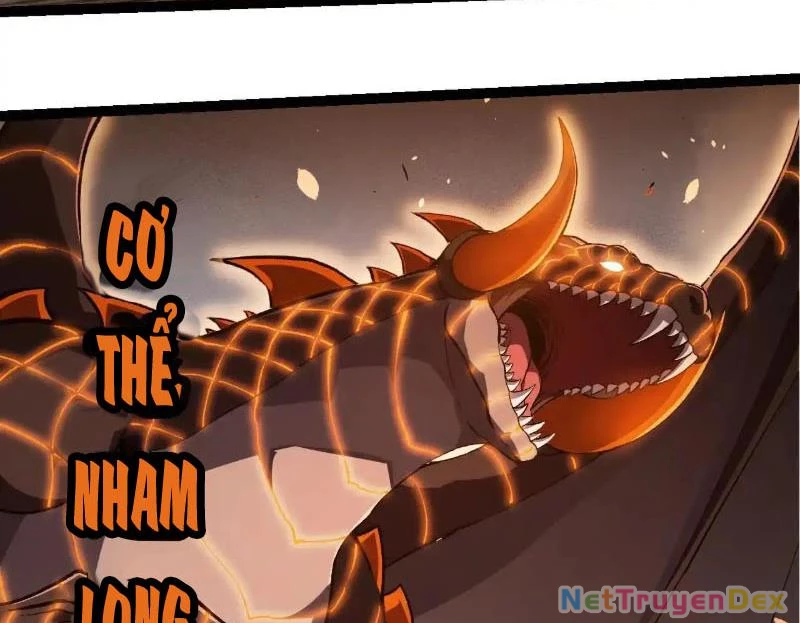 chuyển sinh thành liễu đột biến Chapter 317 - Trang 2