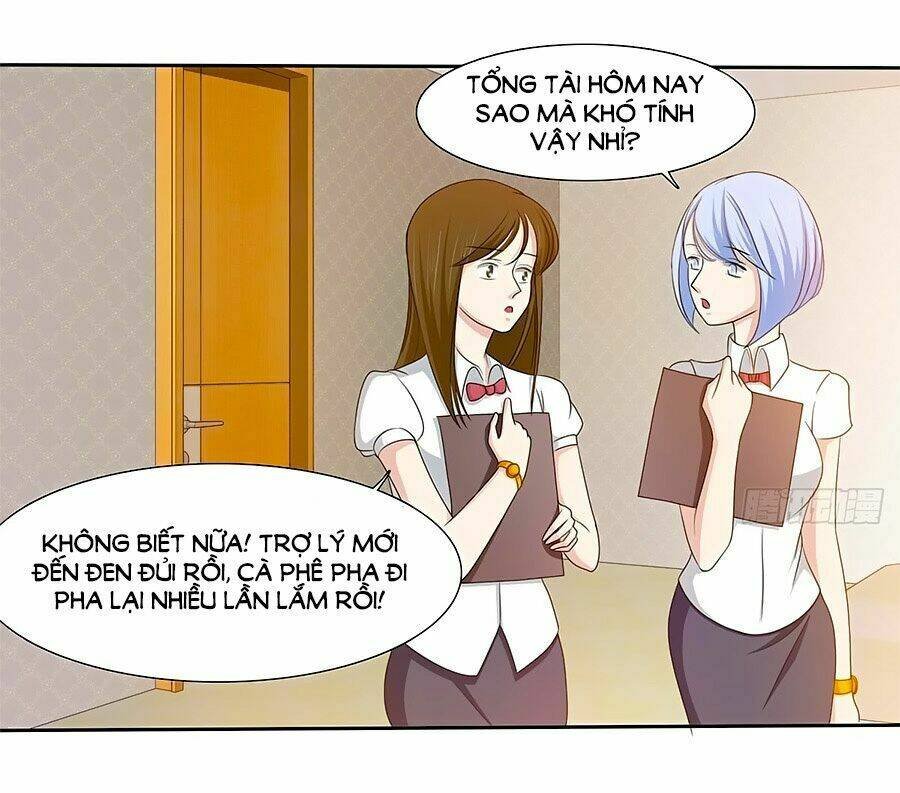 Chủ Tịch Và Nữ Sát Thủ Chapter 12 - Trang 2