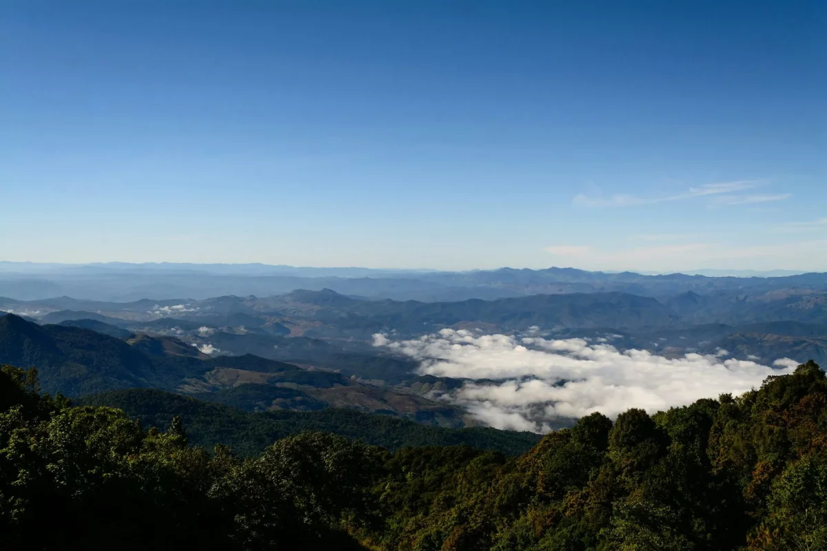 wathanyu-chomchuen-4Vhi0pU3X2c-unsplash.webp