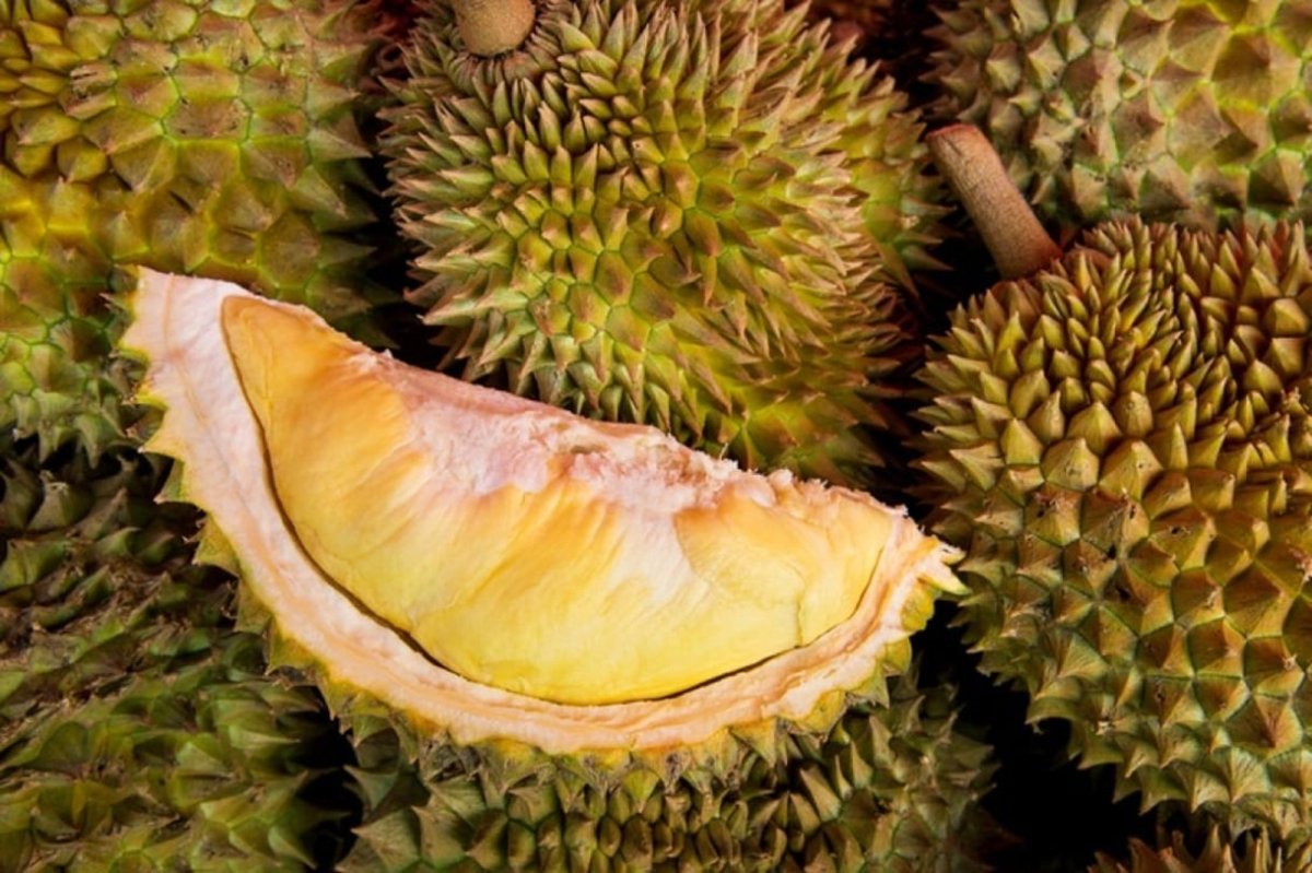 220553958812453b954ab1af0b121c5c_shutterstock_289325978.jpg