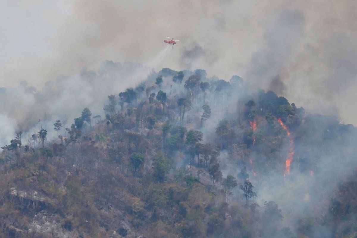 230331030300-01-thailand-forest-fire-033023.jpg