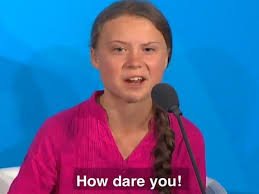 HowDareYou.jpg.9555b3ee4c57fe65009fc290bcd3ec4d.jpg