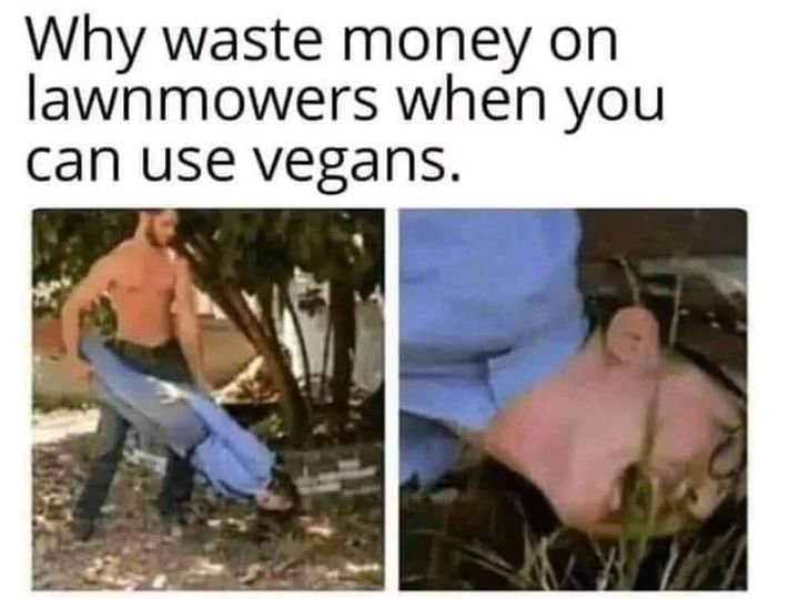 image.jpeg.77dc8a263c073d74bc12f316170f1a2b.jpeg