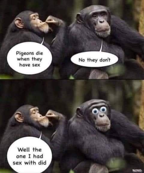 image.jpeg.327f52a97ee5bbb7347c3091cbb623fb.jpeg