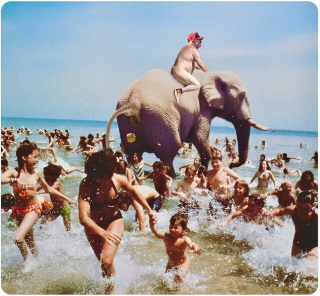 CWS_TrumpEphant.jpg.da1e0c0eabb6f60eaa04daca018f852c.jpg