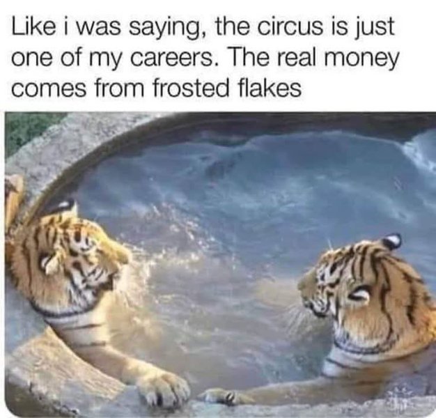 FB_IMG_1748137045891.jpg.ad94da1ce8090cfe26136d87ee25b5ea.jpg