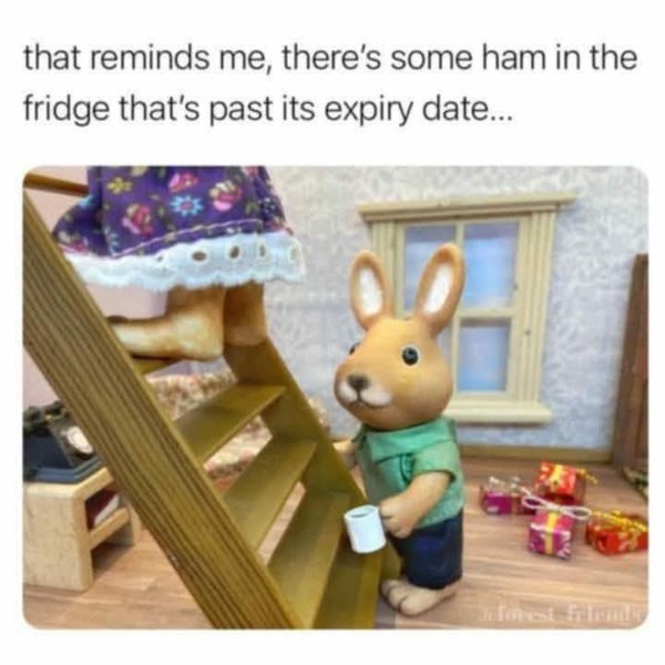 FB_IMG_1748151975707.jpg.c32d20b663bce8f33c1c31feaafde2f6.jpg