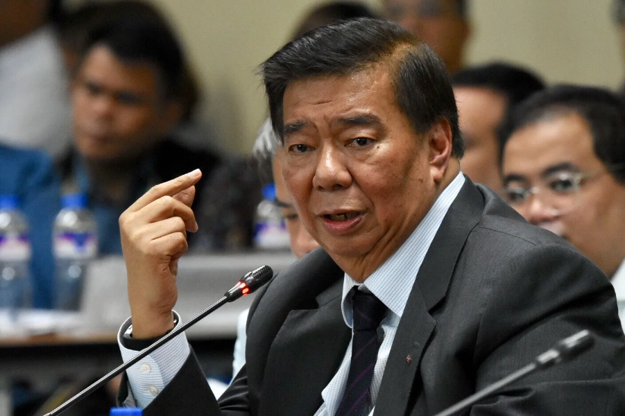 dolee-2019-budget-hearing-drilon-sept192018-008.png