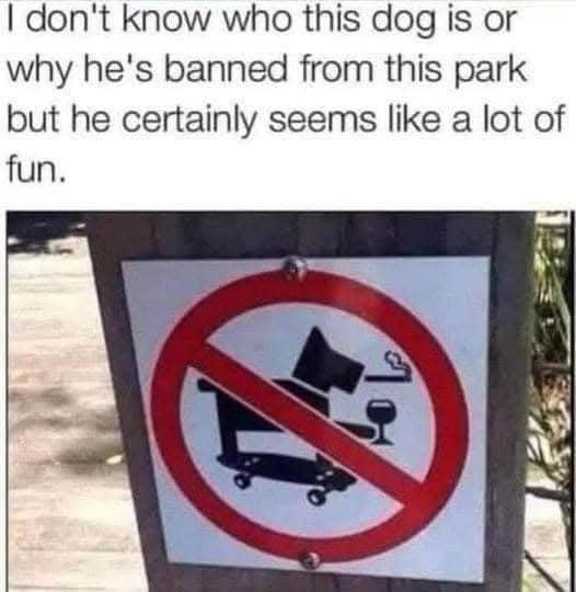 image.jpeg.0cab976de9d2854a43b0c77823c01ca5.jpeg