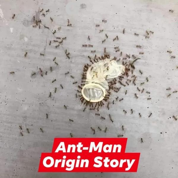 image.jpeg.605ef301722d653b8f526129c6251bca.jpeg