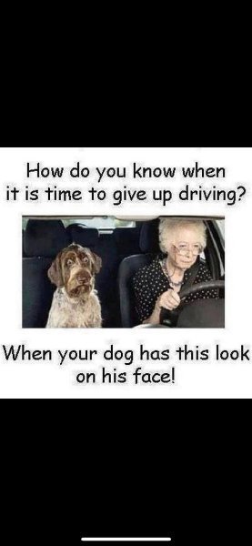 image.jpeg.733328c51aacf21e6b47e14e1252a768.jpeg