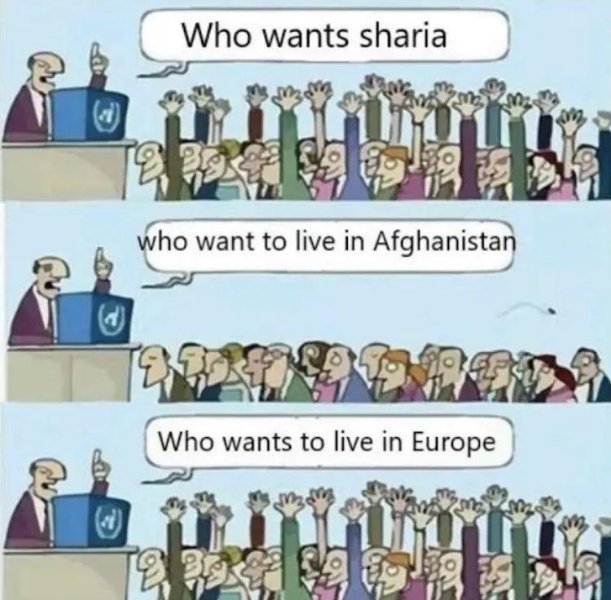 image.jpeg.ad33eb196c46cfe0a00398cddd1edcef.jpeg
