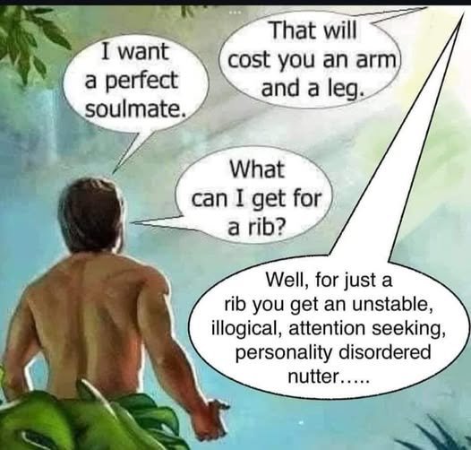 image.jpeg.ba8e3eecde41bea313ad509b698d1ba0.jpeg