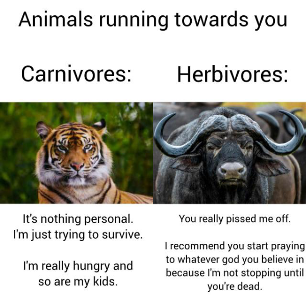 image.png.047700419e99d55701437ce92a8b784e.png