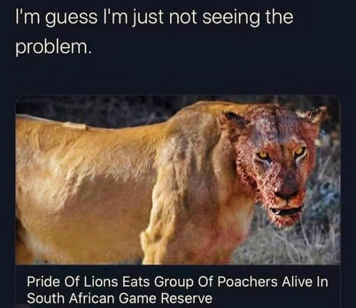 image.png.7a6159c87609578bec534e182b3b4570.png