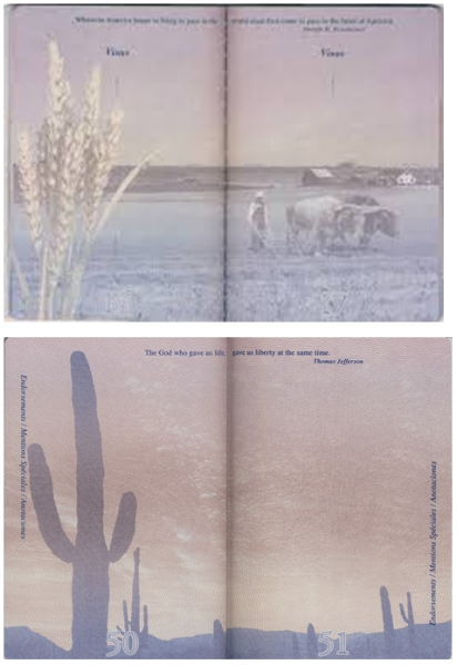 image.png.7c07dbb25368e41919d4a838e515e1ff.png