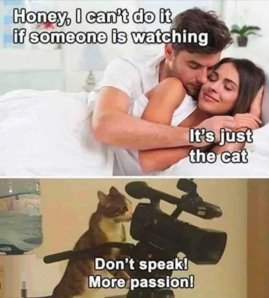 image.png.cc1a45f93b1ab6dda21a9fecd9addea8.png