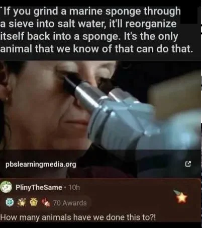 image.png.d558b6108e0ac7c7472f67141ee12647.png