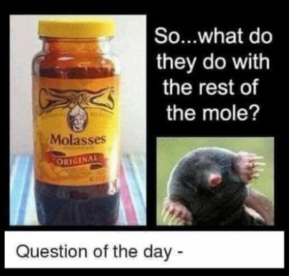 image.png.fc847ec79501305a5ded6dc724872915.png