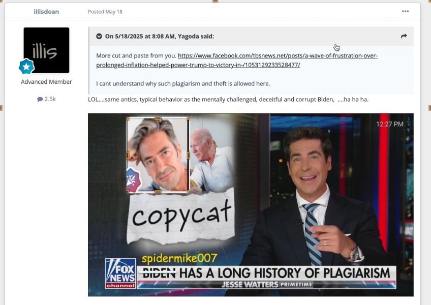 plagiarismspidermike.jpg.db08d561938722aad176e34aab9ad9da.jpg