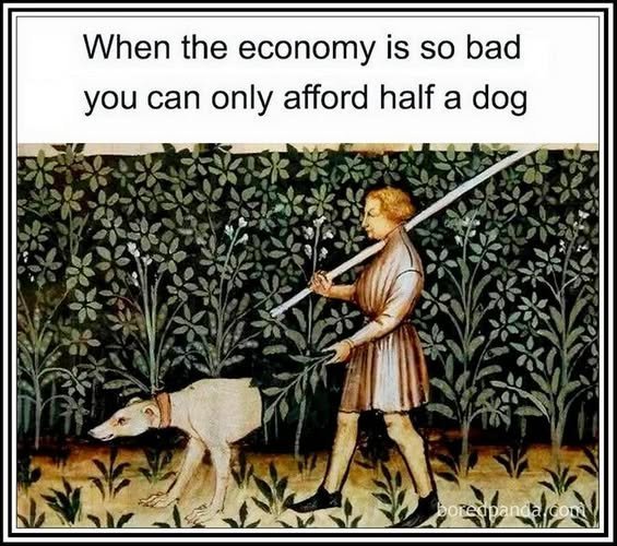 HalfADog.jpg.45675949bef5ce7ab08ed9b13fba3909.jpg