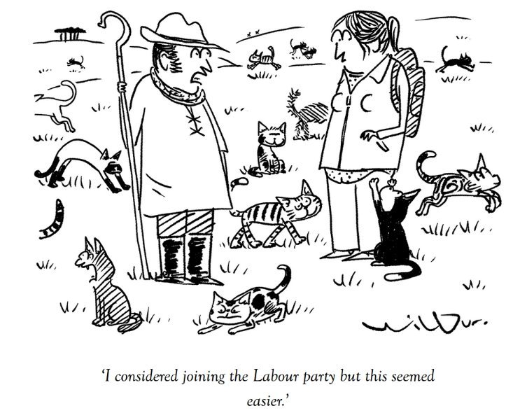 HerdingCats.jpg.9043f487490f4498aae8941c4f597e94.jpg
