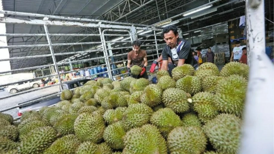 Thaiger-News-Featired-Image-2025-07-01T105656.png