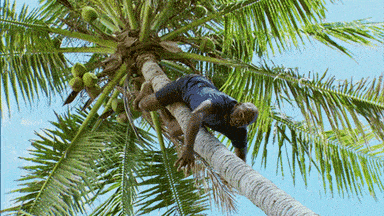 image.gif.dad475218cc523208c1184b73c5bd483.gif