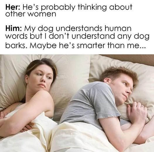 image.jpeg.1a9277f098b8cbe8866266b34569561b.jpeg