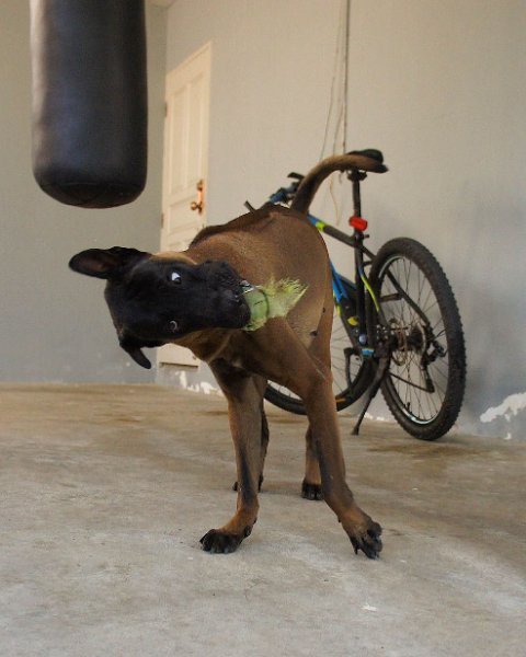image.jpeg.67a61463b19840a68d6286f289d6aa43.jpeg