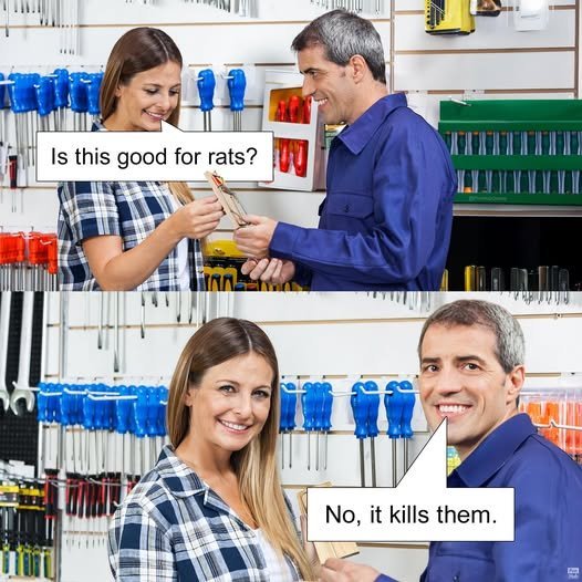 image.jpeg.7dbf145132a39d3e58a07862e7f86668.jpeg