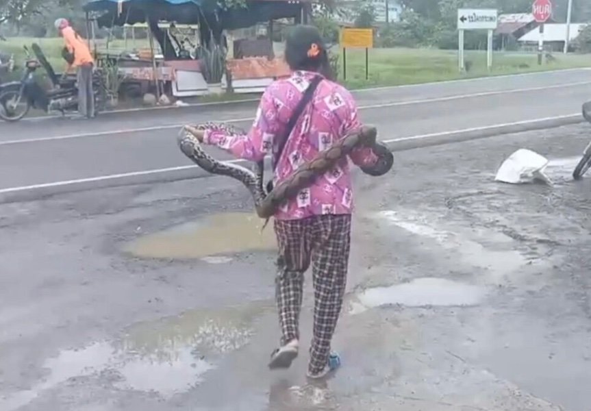 image.jpeg