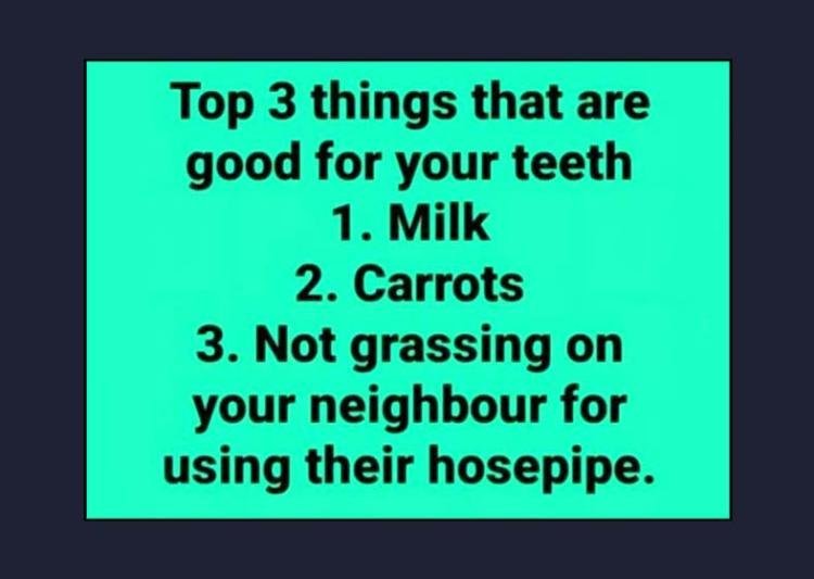 image.jpeg.ed1a5e9d31a8d6eb032e657d6e4deb99.jpeg