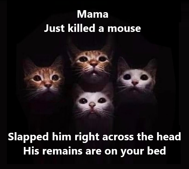 image.png.0f204bb2bace8b576175cec5e512bba5.png