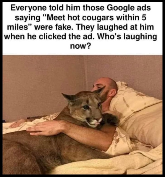 image.png.315c742967d197d5dde8963ff4f7c910.png