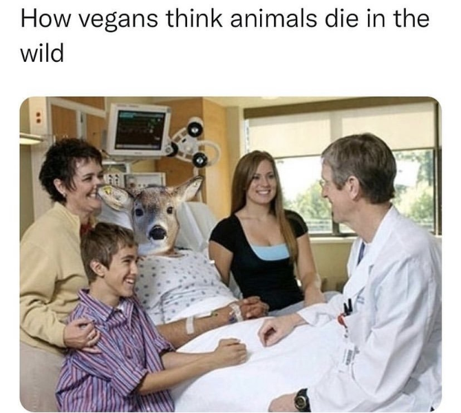 image.png.3a68c8ef2cfbb6bd8297581f39daf182.png