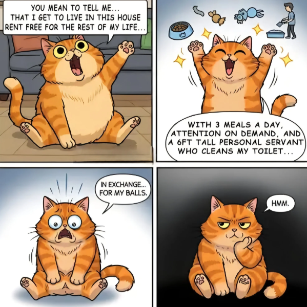 image.png.3b03a3a5932a8b12327a75139fb63155.png