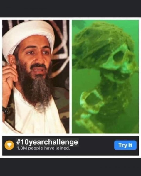 image.png.43e208f6dbab18b2ce2471565a640327.png