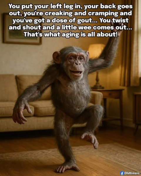 image.png.4f88e1e618fbd35e43ab8a522e054bf0.png
