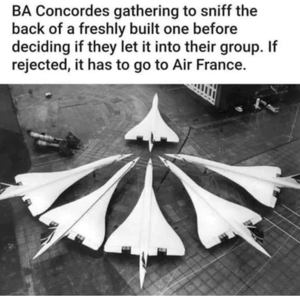 image.png.55a75701e2ce14d1e184c8eda22cc5df.png