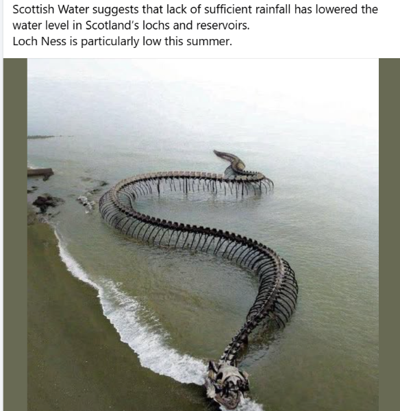 image.png.5c15f17c3d4a72a03cda4267533bb2cb.png