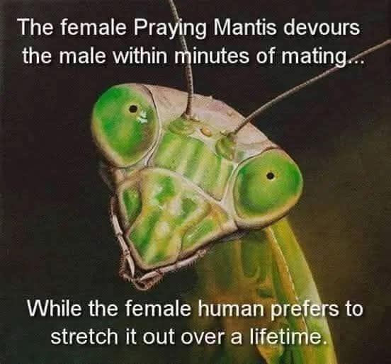 image.png.5c476a32465326c6d1fd2b655d61c45a.png