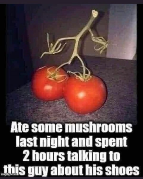 image.png.609f7ba5089c1b54ab733e9a6a01cd21.png
