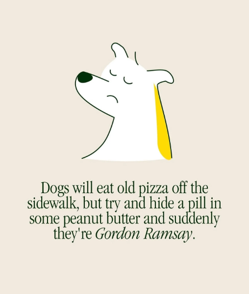 image.png.61bebdb3314e90331c8d11b10b51e525.png