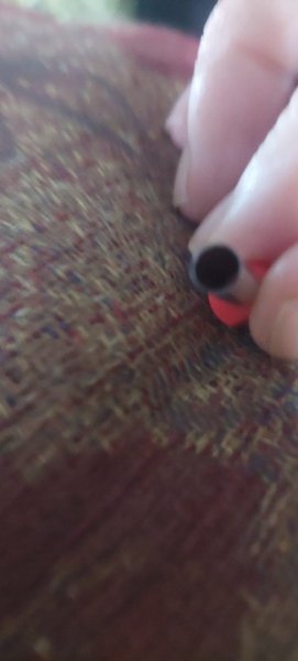 20250818_073859.jpg.5a05dbb05f8ba64a38e08183a7cdc492.jpg
