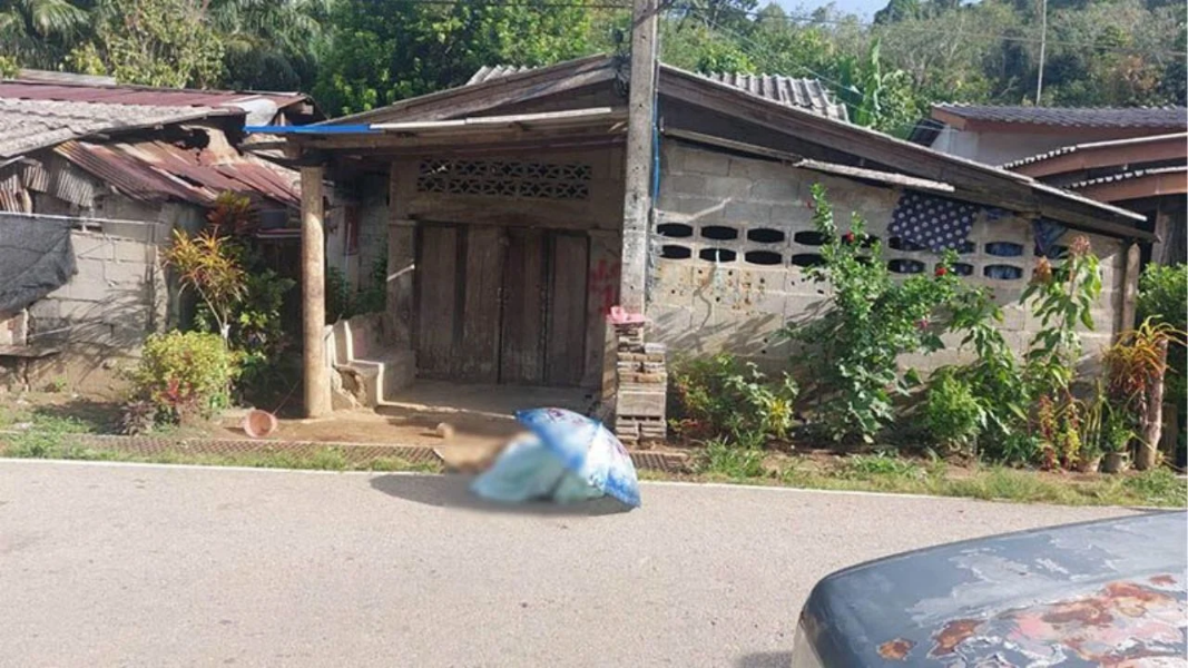 Copy-of-Thaiger-News-Featured-Image-97.png